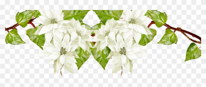 Floral Clipart Winter - Jasmine - Png Download #1368906