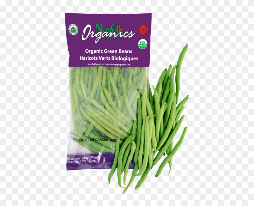 We Also Pack 10 Lb Or 25 Lb Cartons Or Rpc - Green Bean Clipart