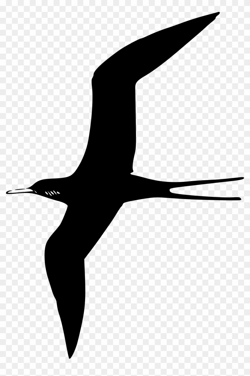 Birds Vector Sea Bird 1 Clipart - Bird Clip Art - Png Download #1369844