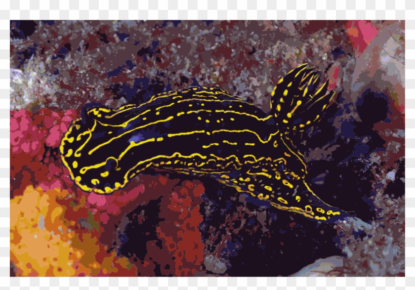 This Free Icons Png Design Of Regal Sea Goddess Nudibranch Clipart