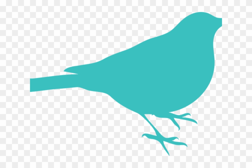 Seagull Silhouette Cliparts - Birds Silhouette Green - Png Download #1370091