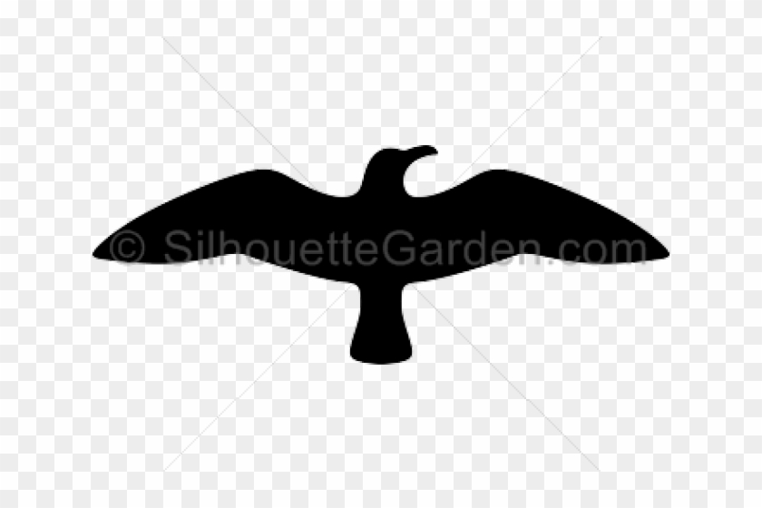 Seagull Clipart Fly Away - Golden Eagle - Png Download