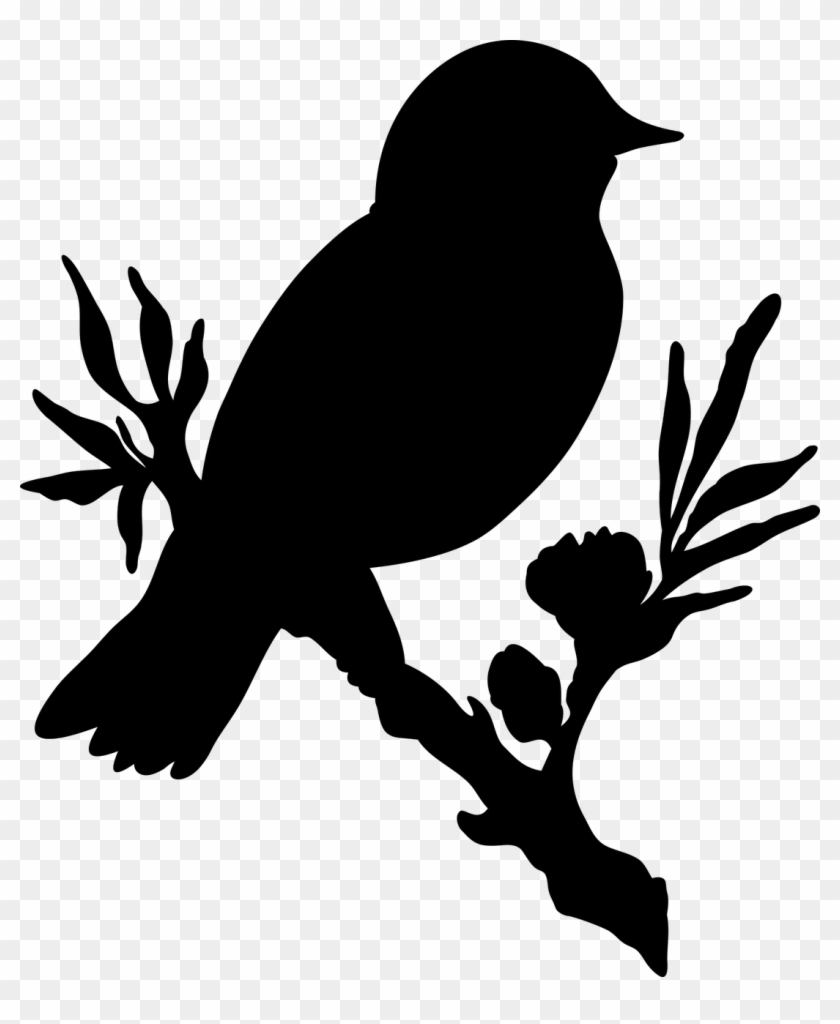 Bird,branch,flower,no Silhouette, - Bird In Tree Transparent Background Clipart