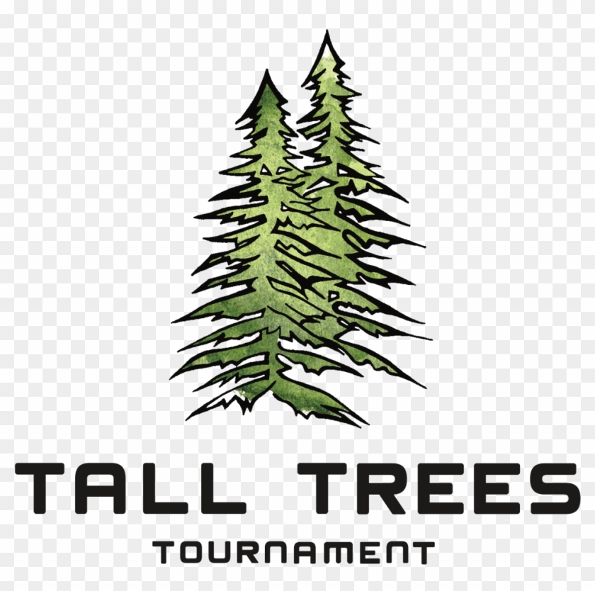 2019 Palo Alto Summer Tall Tree - Christmas Tree Clipart #1373966