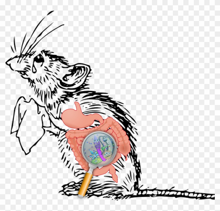 The Brain And Gut Have A Communication Line Through - Sad Mouse Cartoon Clipart