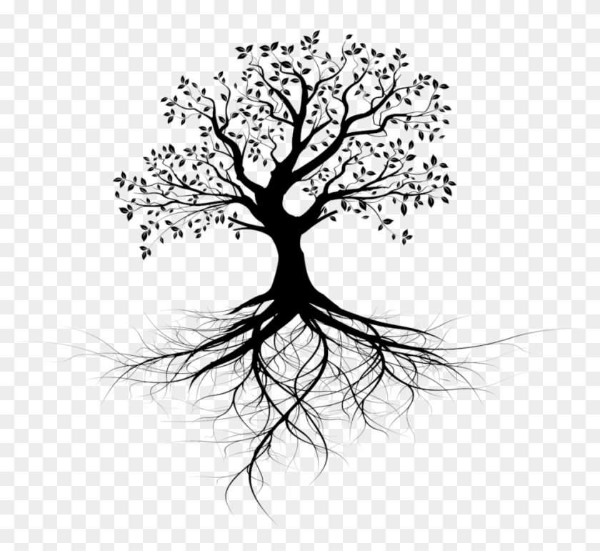 Invest In Ceiba Beach Resort And Residences - Clip Art Tree With Roots Black And White - Png Download