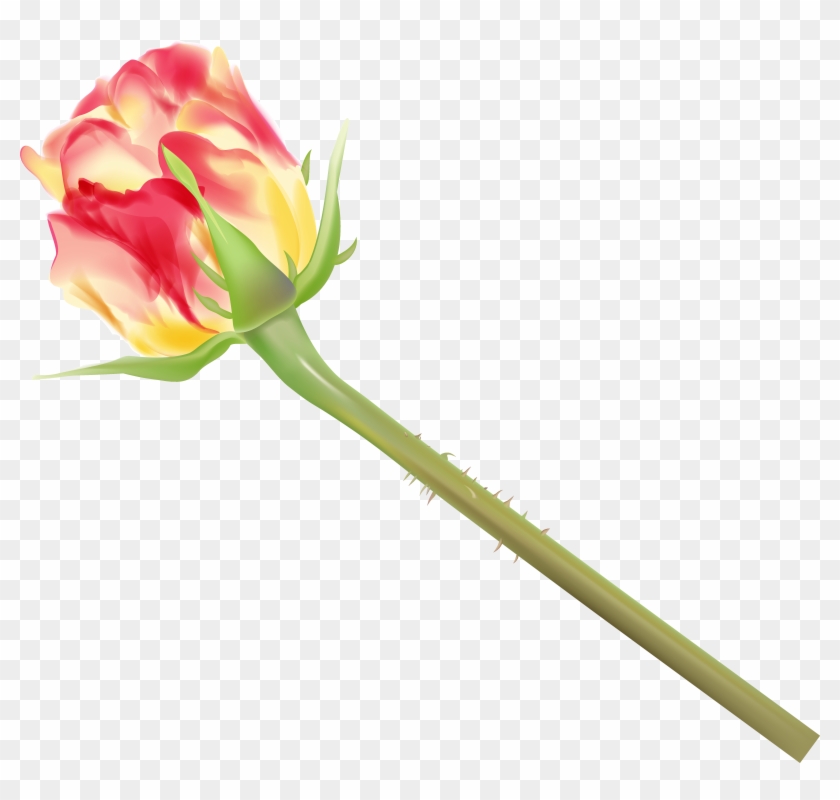 Yellow - Clip Art - Png Download