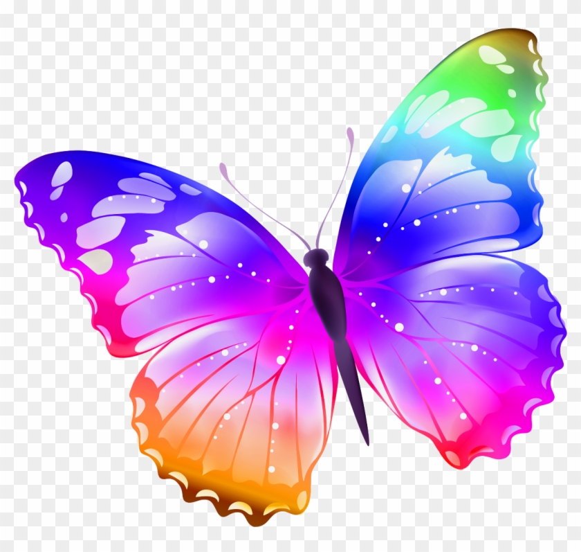 1135 X 1024 19 - Butterfly Mariposa Clipart #1379829