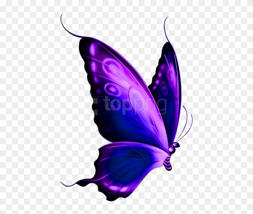 Free Png Download Transparent Blue And Purple Deco - Transparent Background Butterfly Clipart #1380052