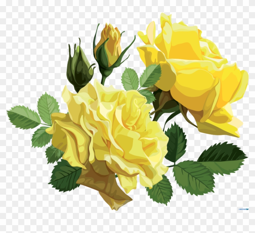 #mq #yellow #roses #rose #flower - Открытки С 12 Летием Свадьбы Clipart #1380206