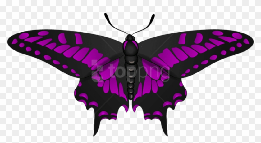 Free Png Download Butterfly Purple Black Clipart Png - Swallowtail Butterfly Transparent Png #1380262