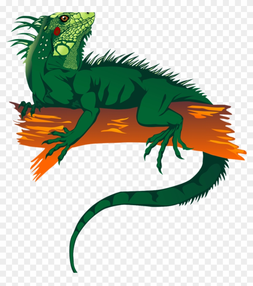 Banner Transparent Library Dinosaur Hatenylo Com Iguanas - Rainforest Animals Png Clipart #1382209