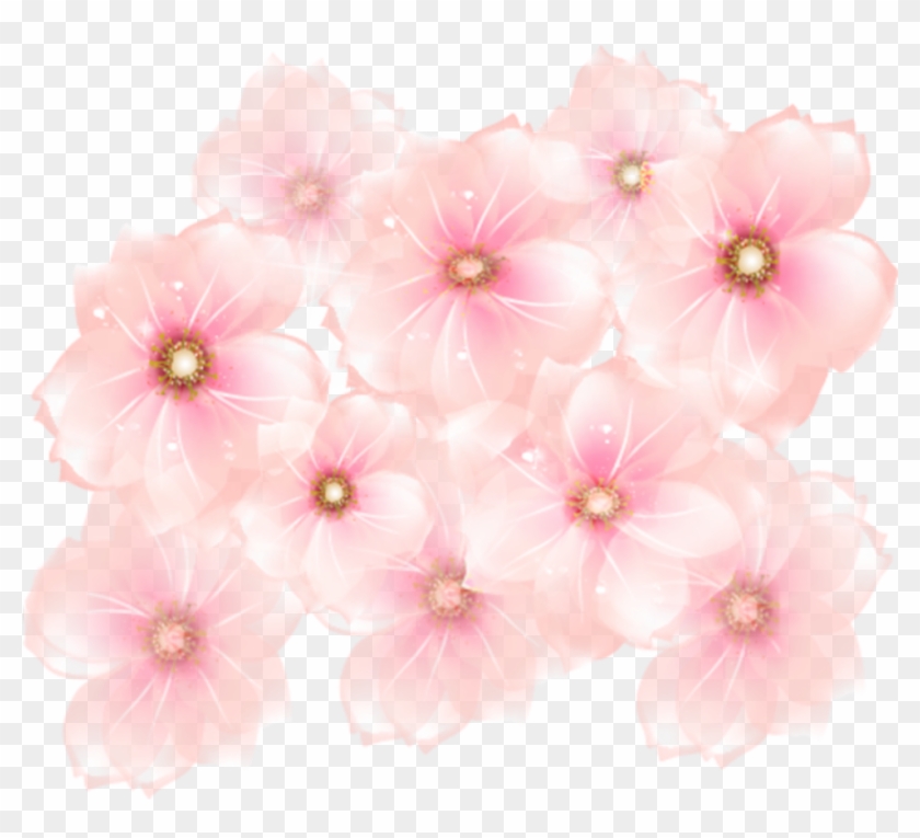 Flowers Transparent Pink Sparkles Freetoedit Clipart