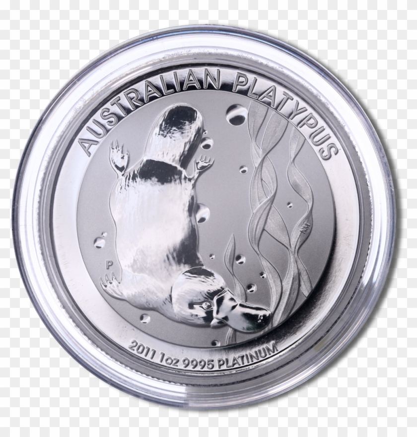 1 Oz Platypus Platin Coin Capsule - Silver Clipart