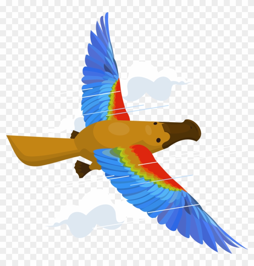 How Do I Fly The Platypus & Grow My Business - Flying Platypus Clipart #1383231