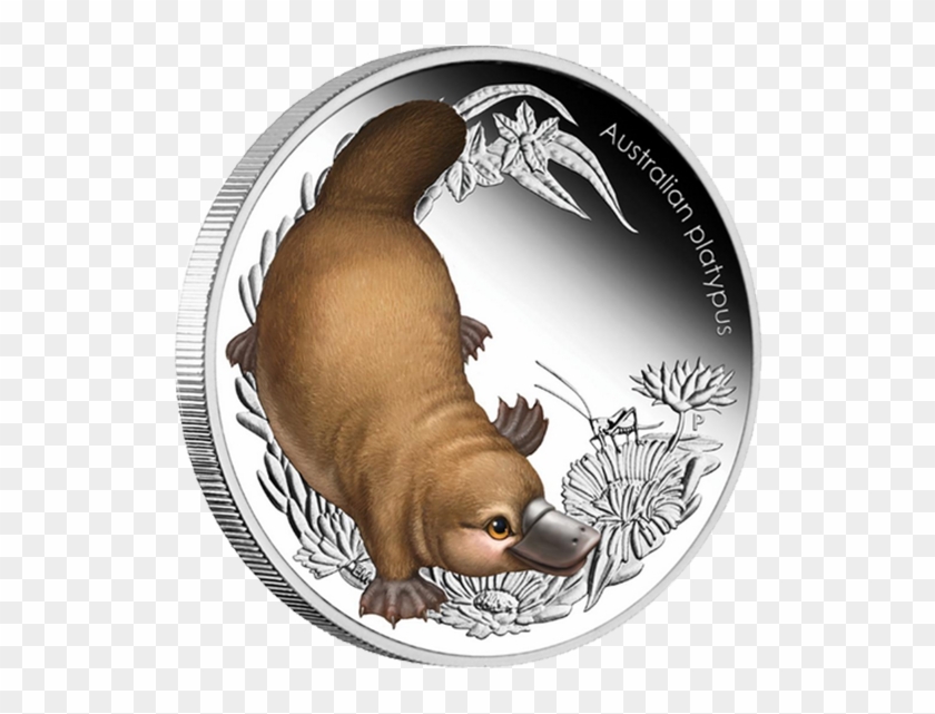Australia 2013 50 Cents Platypus Australian Bush Babies - Platypus Clipart