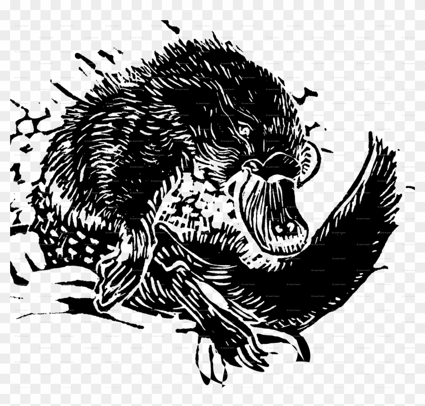 Platypus Png Clipart #1384679