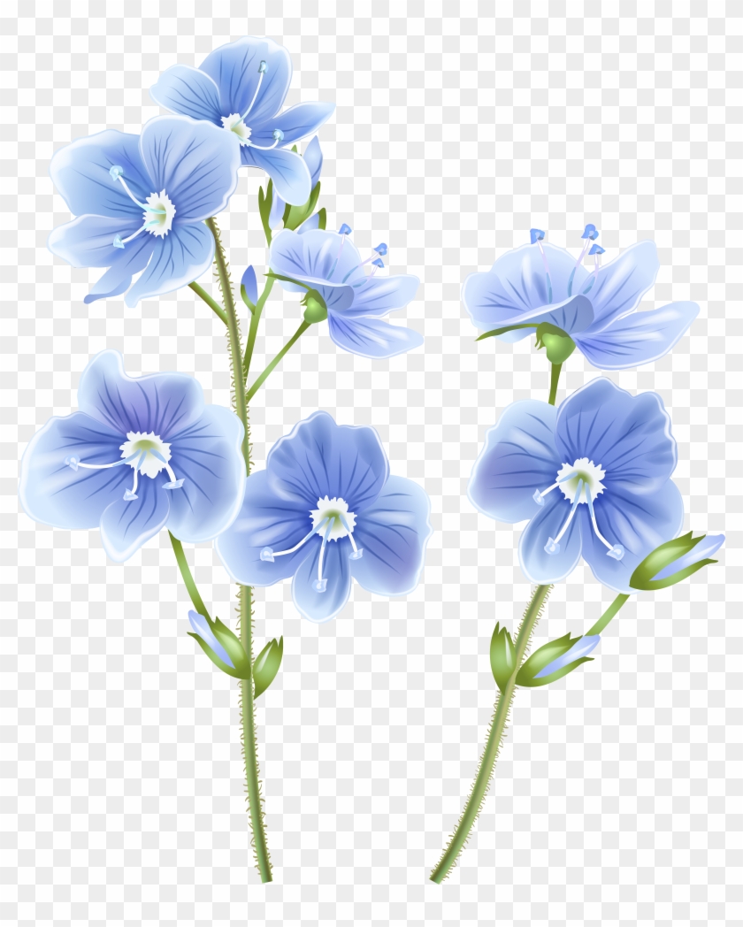 Wildflower Blue Png Clip Art Image - Transparent Wildflower Clipart #1385028