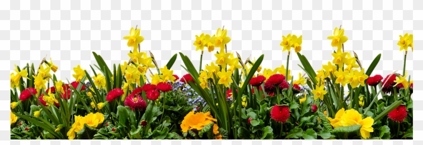 Wildflower Png - Transparent Background Tulips Png Clipart #1385278