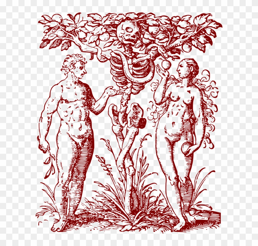 Adán Y Eva Antigua 1957 Árbol Del Conocimiento - Tree Of Knowledge And Death Clipart #1387145