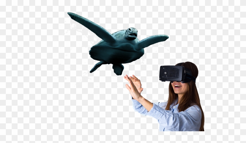 Virtual Reality - Pigeons And Doves Clipart