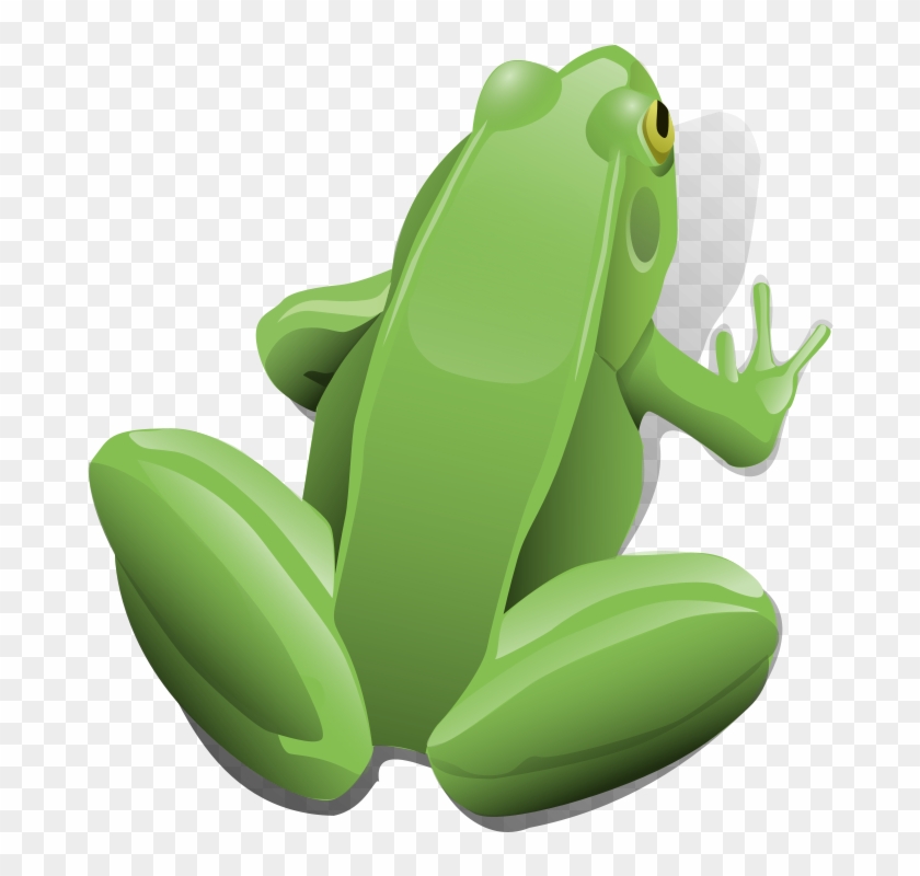 Frog Png Clipart #1388788