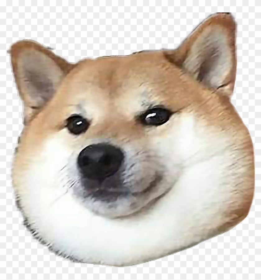 #doge #doggo #shiba #shibainu #shibe #shober #thicc - Doggo Shiba Clipart
