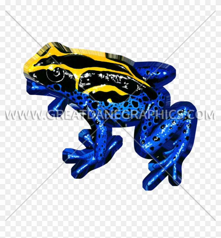 Poison Dart Frog Clipart Dot - Frog - Png Download