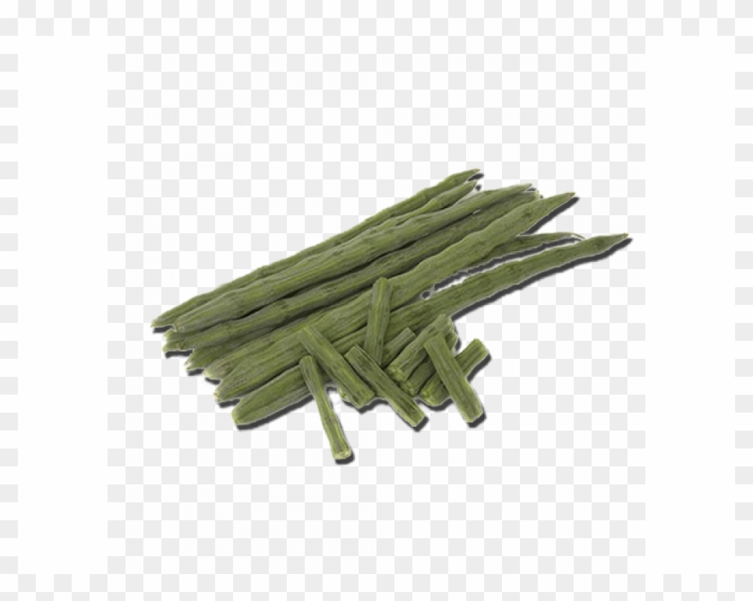 First Slide - Drumstick Tree Clipart #1390003