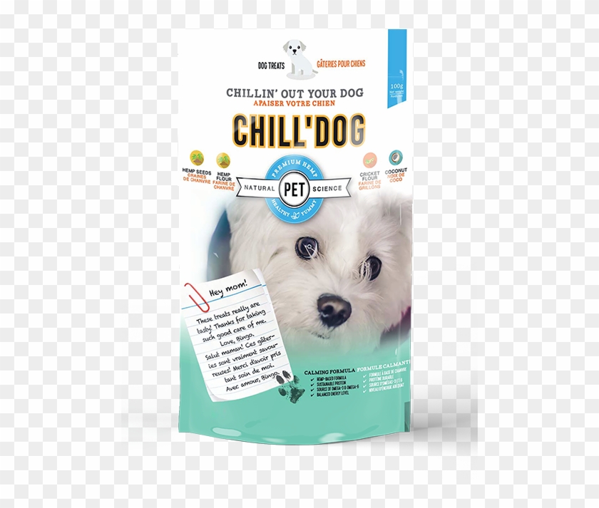 Chill'dog - Companion Dog Clipart #1390175