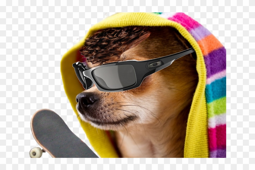 Friend That I Forgot To Make Doggo Of - Cool Dog Png Clipart #1390237