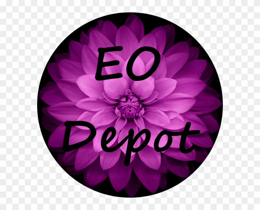Ok So Going To Start From Square 1 And Just Keep Moving - Circle Clipart #1392836