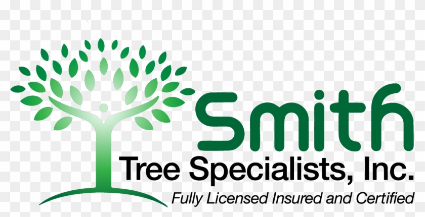 Smith Tree Specialists' Valued Service, Integrity, - Graphic Design Clipart #1393745