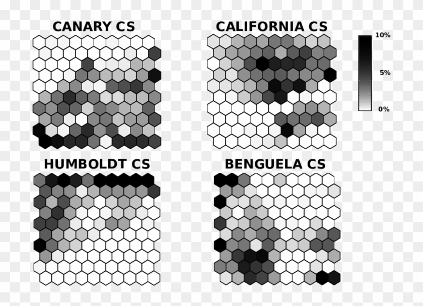 Distribution Of The Canary, California, Humboldt And - Circle Clipart #1394122