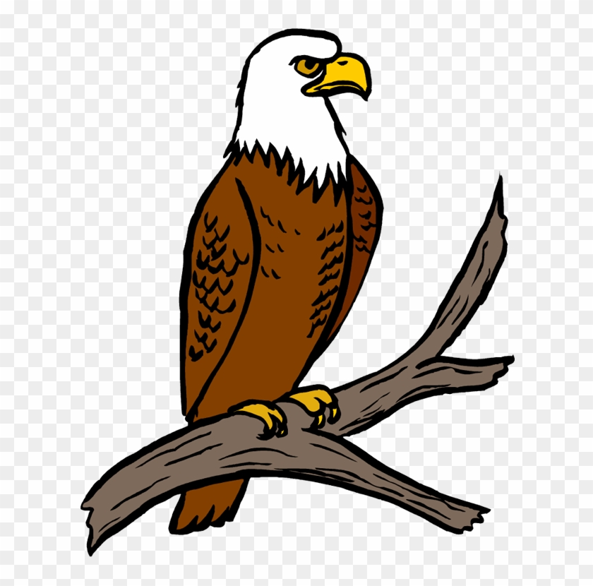 Free Eagle Clipart Eagle Feather Clipart At Getdrawings - Clipart Of Eagle - Png Download
