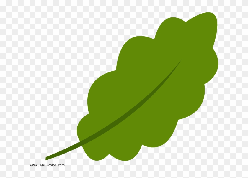 Oak Leaf Outline Clipart - Листок Дубовый Клипарт - Png Download #1395330