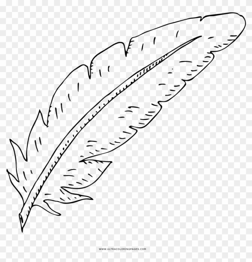 Coloring Pages Feather Coloring Pages Splendiree Printable - Line Art Clipart #1395396