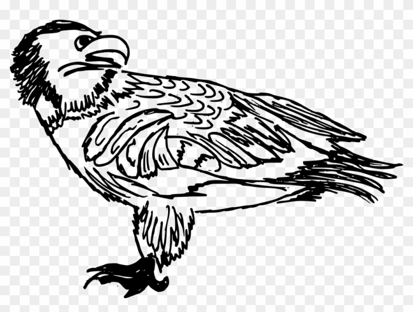 Png File Size - Perching Bird Clipart #1395498
