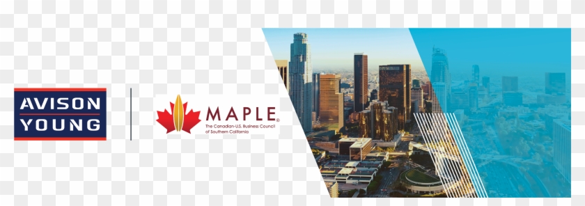 Avison Young Southern California Joins Maple Business - Avison Young Clipart #1395558