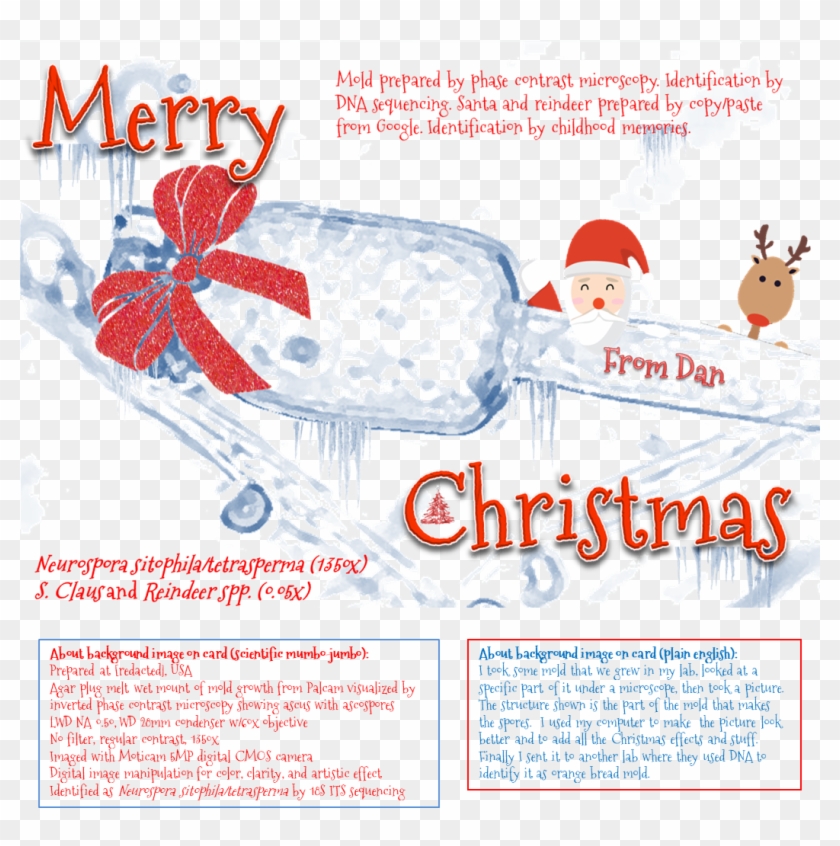 Front And Back Of Card - Poster Clipart