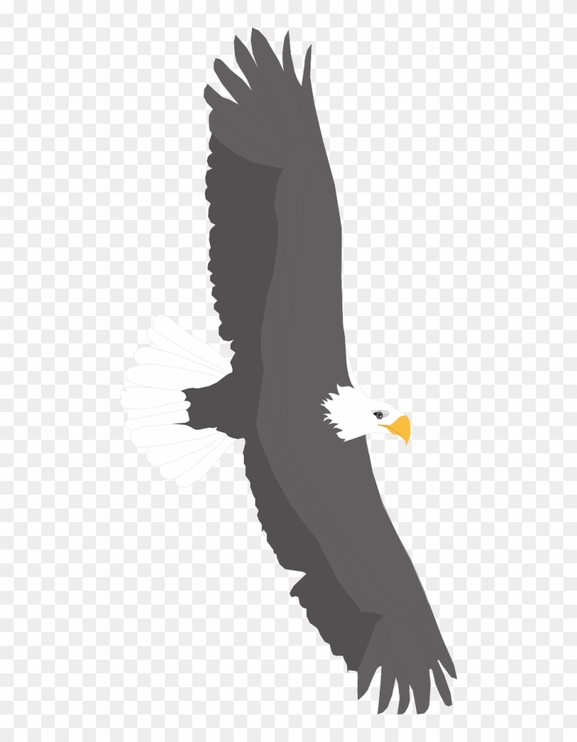Vector Graphics - Eagle Clipart #1396014