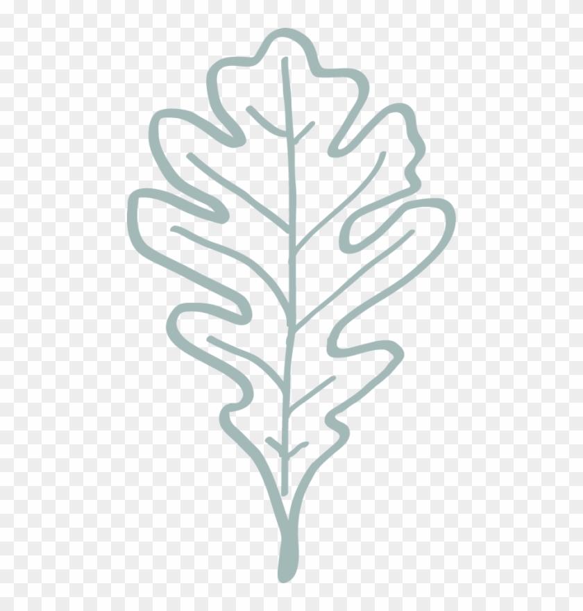 "oak Leaf Home Inspections Is A Charlotte Based Group - Drawing Clipart #1396042