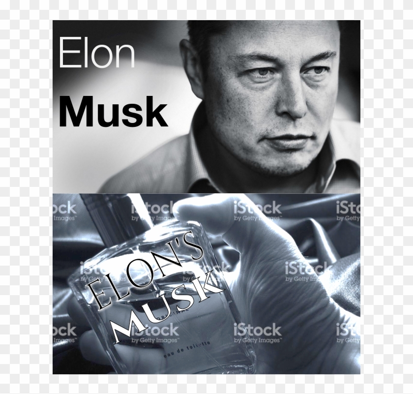 Elon's Musk - Elon Musk No I Don T Ever Give Up Clipart #1396484