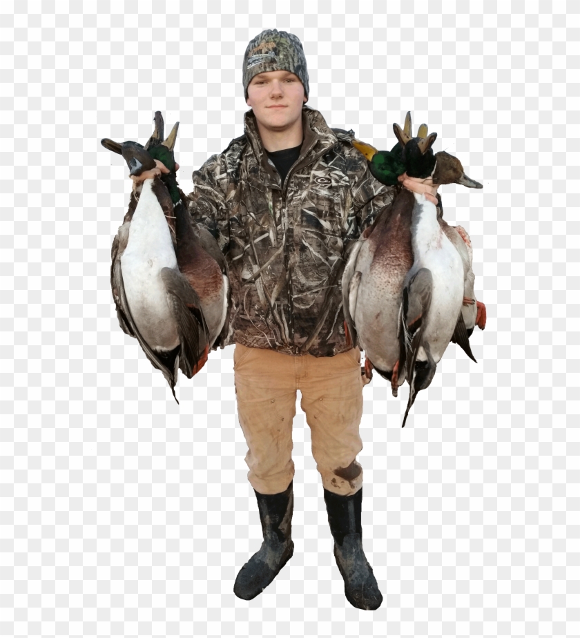 Western Mn Duck Hunt Prices - Canada Goose Clipart #1397557