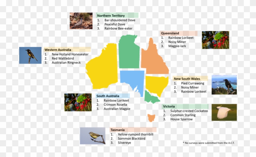 Biby Autumn Survey Results - Australia In Winter Clipart #1398501