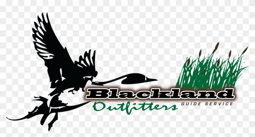 Blackland Outfitters Guide Service - Png And Background Download Clipart #1398805