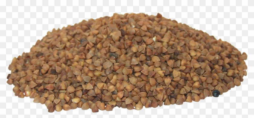 El Pan De Trigo Sarraceno Y La Pasta Quizás Sean Los - Buckwheat Clipart #1399304