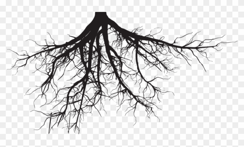 Soil And Roots Png Clipart Black And White Download - Tree Roots Silhouette Png Transparent Png