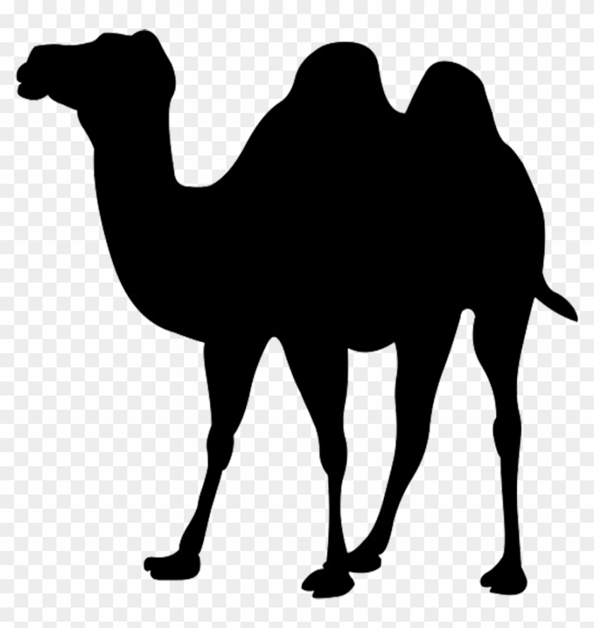 Mark Zuckerberg Png Clipart - Silhouette Camel Transparent Png #141978