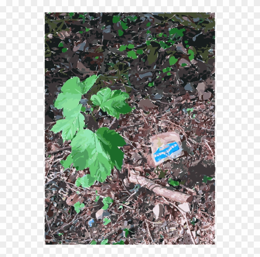 Soil Lawn Groundcover Leaf Branching - Litter Clipart #142022